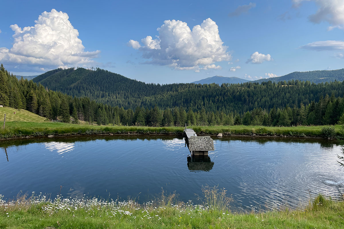 Blick von der Thomannbauerhütte